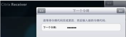 河南省国税局Citrix实施DKEY短信双因素认证